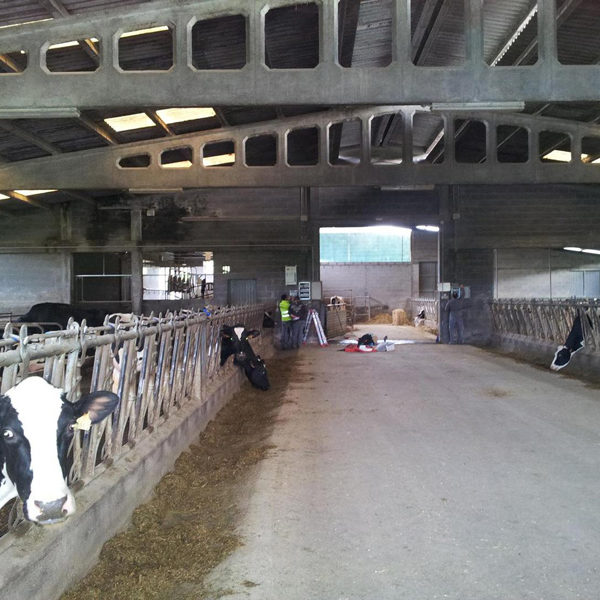Granja de vacas con energia solar en Galicia